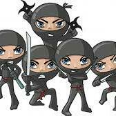 Fundraising Page: Team Ninjas